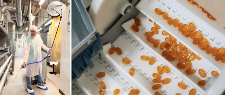 Ricola’s recipe: clean, safe and sustainable food production 